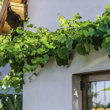 La Garenne 萨维尔纳